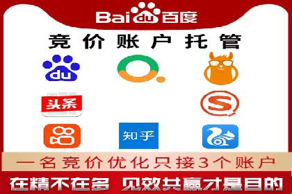 SEM竞价推广案例：打造行业领先的广告投放策略
